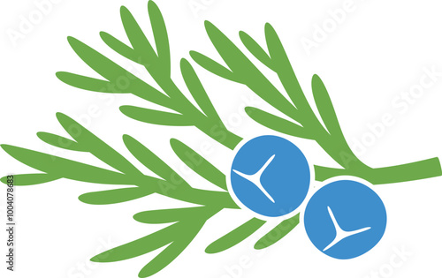 Juniper berries logo. Isolated Juniper berries on white background