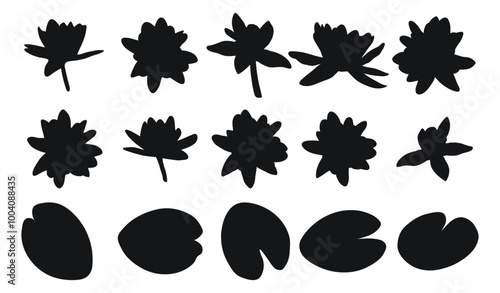Set of water lily, water lilies, silhouette of plant buds and foliage