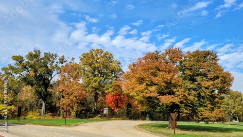 Autumn Tree Lined Road in Mount Vernon, Virginia