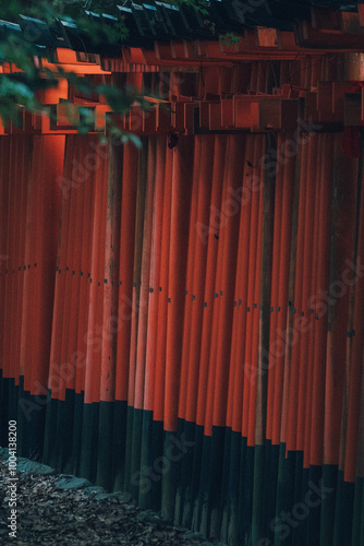 びっちりと並ぶ鳥居