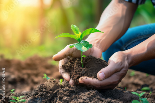 Hands planting a small tree sapling in soil, symbolizing growth, sustainability, and environmental conservation. Sunlight filters through the background, enhancing the green leaves.