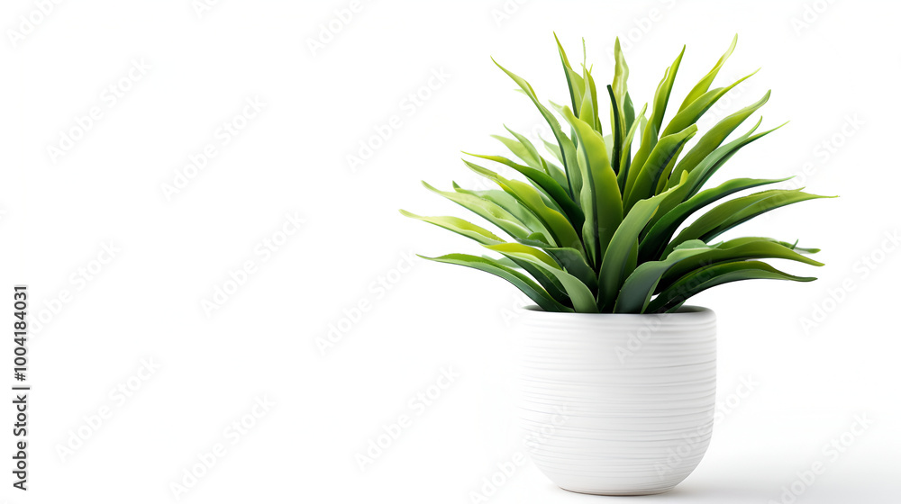 A small plant in a white pot on top of table, Mini plant succulent on wooden white desk, little plant and leaf in potted on table, copy space, nobody, tree in pot for decoration in home, texture back A small plant in a white pot on top of table, Mini plant succulent on wooden white desk, little plant and leaf in potted on table, copy space, nobody, tree in pot for decoration in home, texture back