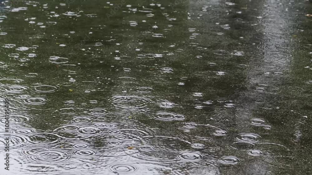 Slow motion puddle in the rain.
Rain on a puddle shot at 120fps.
Slow motion puddle in the rain.
Rain on a puddle shot at 120fps.