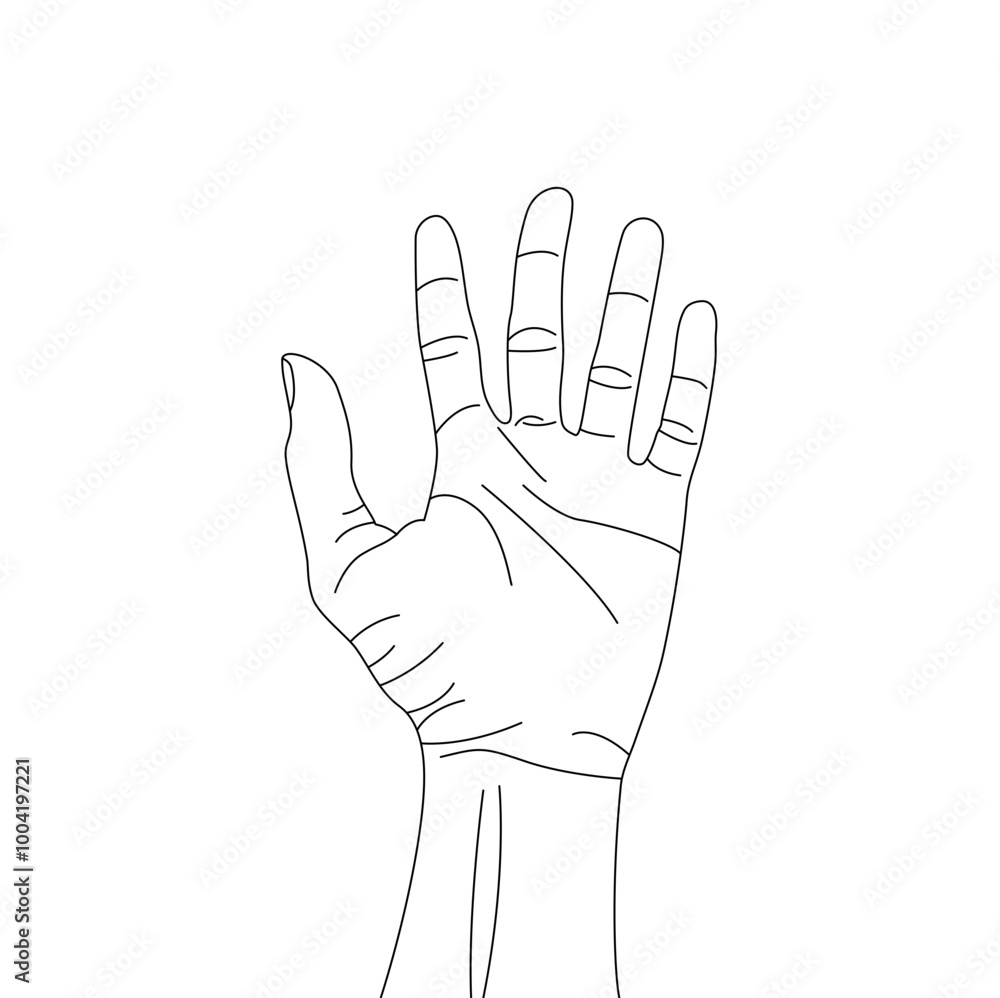 Fototapeta premium Human palm icon design, hand vector with different hand lines, palm vector
