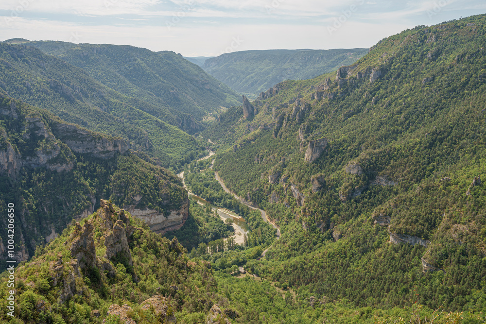 Fototapeta premium Point sublime Gorges du Tarn Lozère