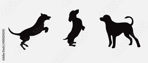 Dog silhouette collection vector. Dog in various poses and activities like jumping, sitting, running, playing, and standing. Silhouette black puppies, pet dog vector
