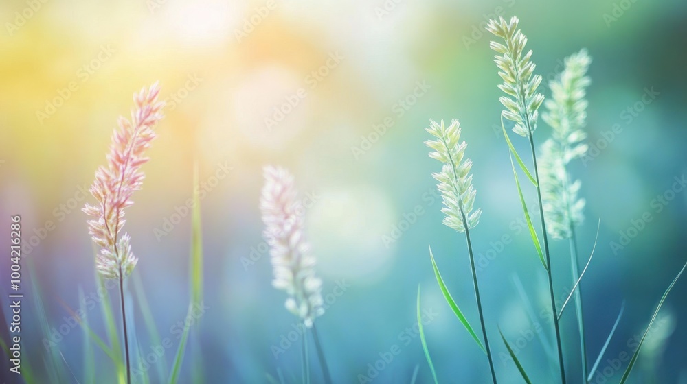 Fototapeta premium Delicate green grass swaying gently in sunlight, creating a serene and peaceful atmosphere.