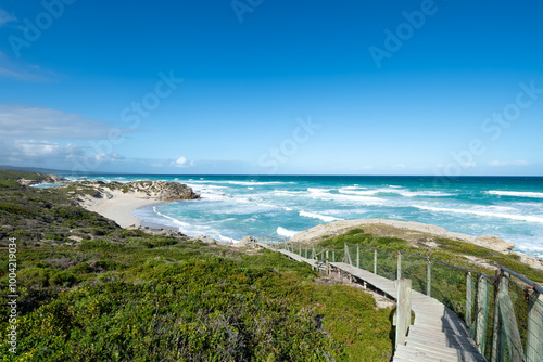 Картината върху платно De Hoop Nature Reserve, Western Cape Province of South Africa
