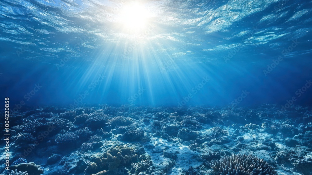 Obraz premium Beneath the waves, a serene underwater landscape illuminated by sunbeams, showcasing vibrant coral reefs.