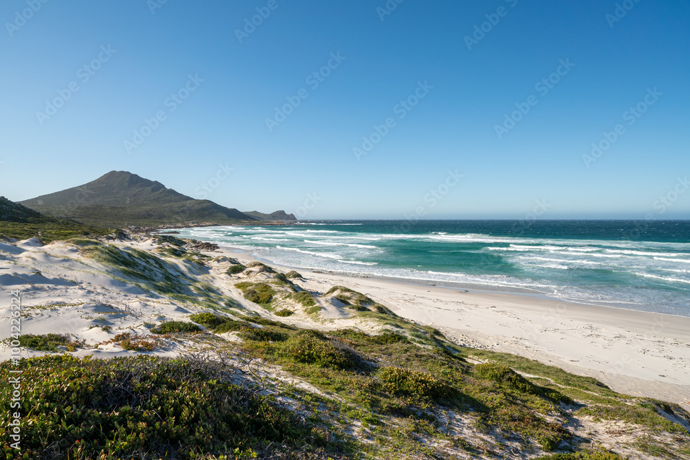 Platboom Beach, Cape of Good Hope, South Africa Platboom Beach, Cape of Good Hope, South Africa