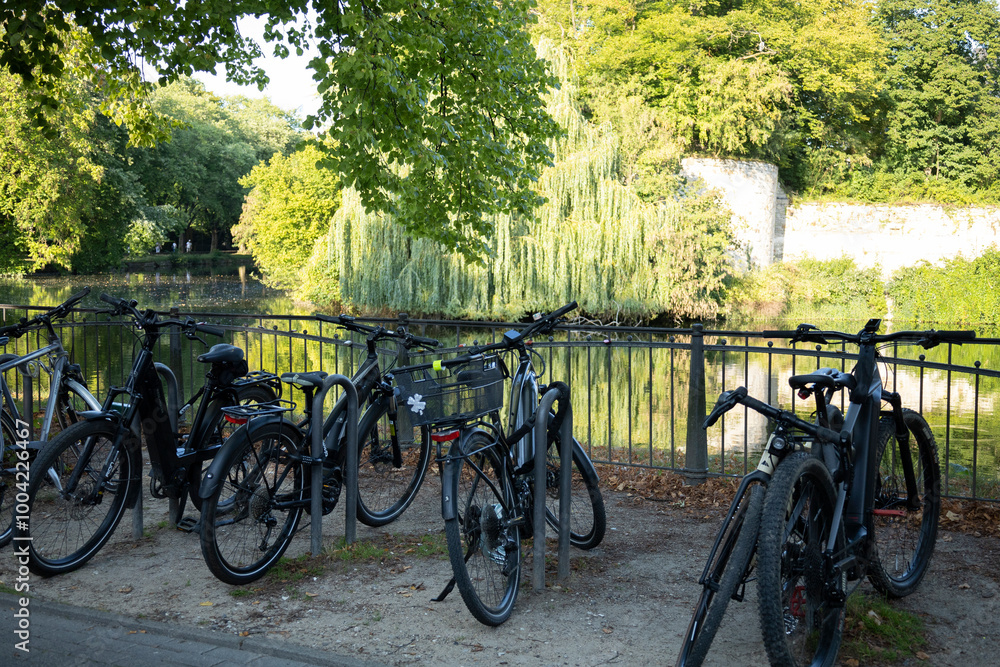 Fototapeta premium bicycles in the park