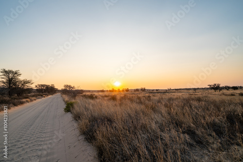 Scenic route in Kgalagadi Transfrontier Park, South Africa photo