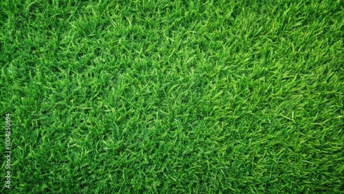 Detailed Green Grass Background Lawn Texture for Nature Themed Designs