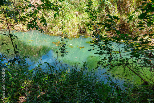 Wild tropical landscape, green colors scene of hot spring pond surrounded by forest with clear water reflection and shadow at Eahleo, Dak Lak, Vietnam.