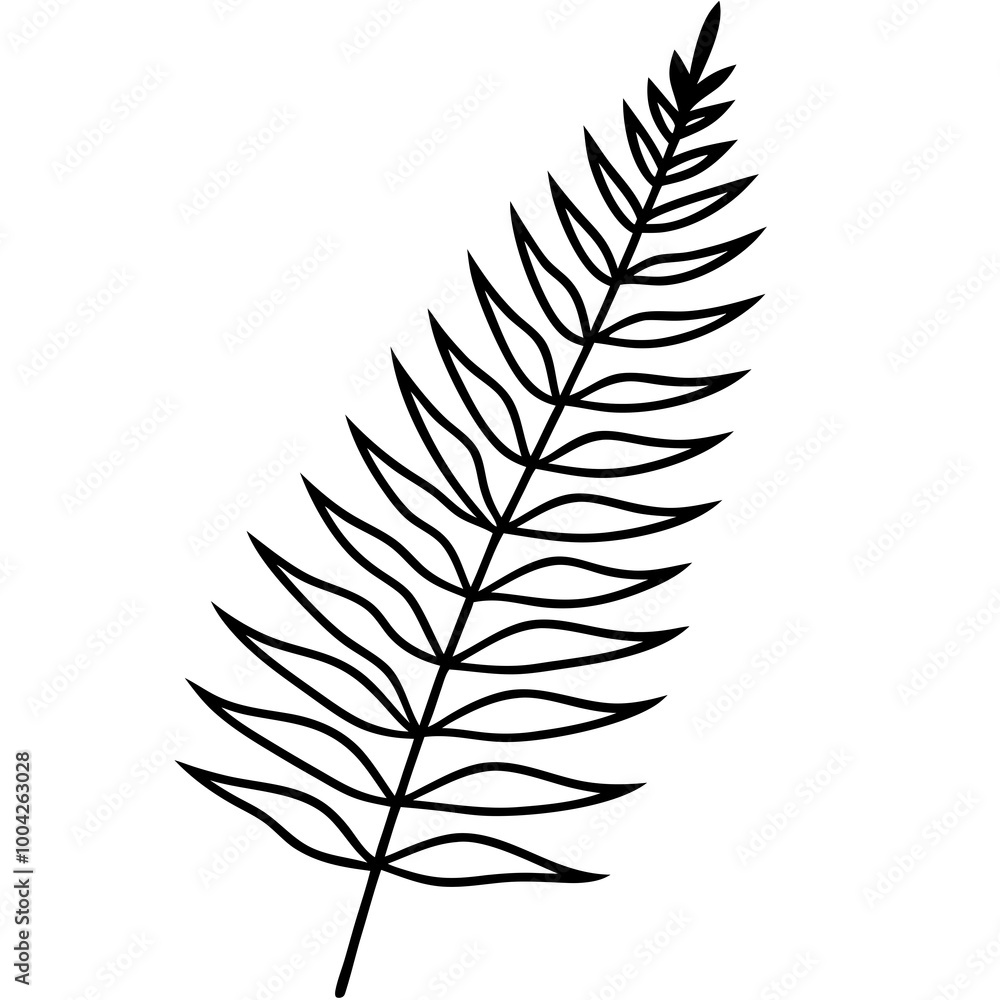 Fern Leaves Vector Illustration Graceful Nature Inspired Art Design
