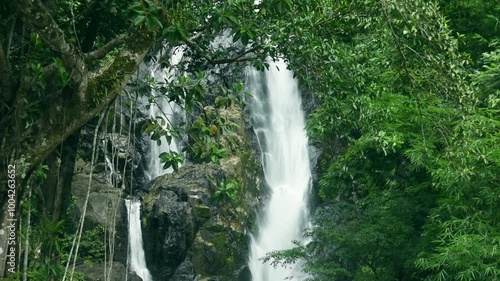 Wallpaper Mural Scenic waterfall in Thailand tropical rainforest, Beautiful nature background. Torontodigital.ca