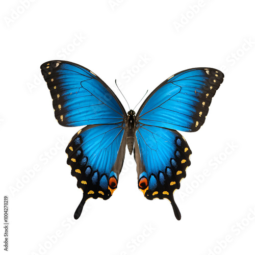 butterfly image without background. Ai generated 