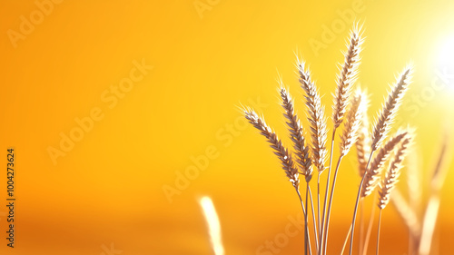 Golden wheat stalks stand tall against warm, glowing background, capturing essence of serene harvest. sunlight enhances beauty of natures bounty, evoking feelings of peace and abundance. 