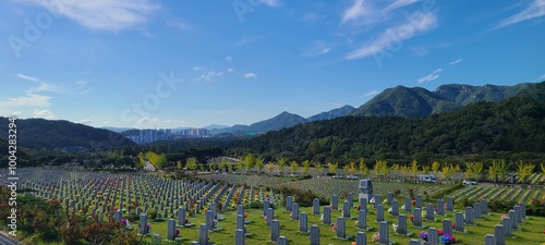 At National Cemetery on  Memorial Day