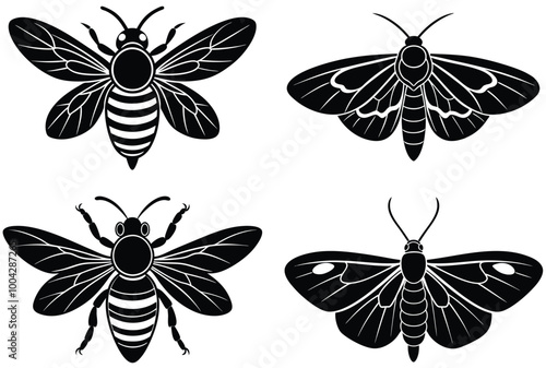  difference  Bee  silhuette vector on white background