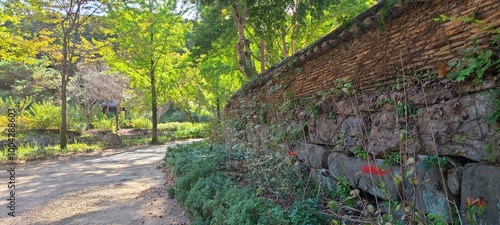 The stone wall near the forest path