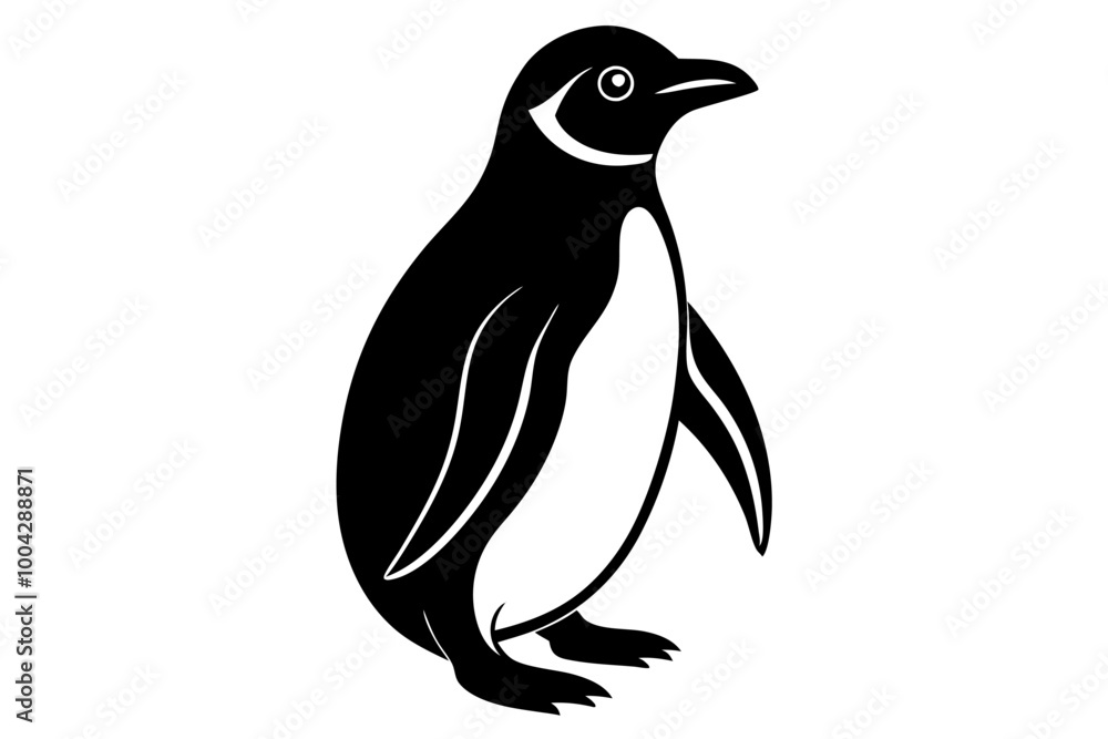 penguin on a white background penguin on a white background