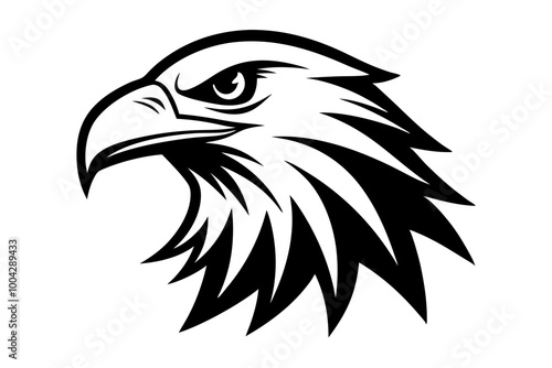 eagle head vector illustration
