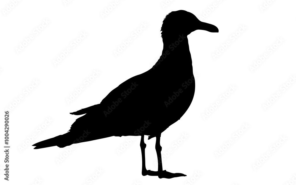 Fototapeta premium Silhouette einer Möwe, freigestellt, transparent ohne Hintergrund