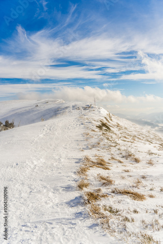 Wallpaper Mural Winter Ascent on Połonina Caryńska Torontodigital.ca