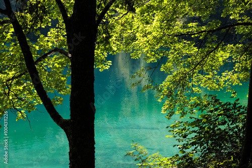 parte del tronco scuro, dei rami e delle foglie verdi di un albero in primo piano e di un lago tranquillo con l'acqua color verde smeraldo sullo sfondo, in un ambiente di montagna,di giorno, in estate photo