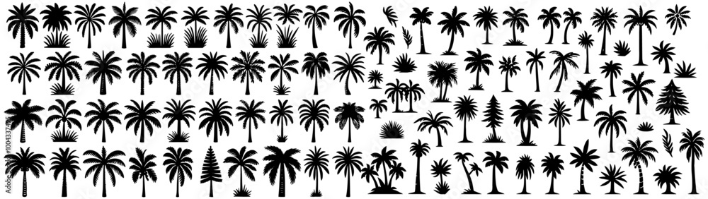 tropical palm tree, big collection set of black vector silhouette tropical palm tree, big collection set of black vector silhouette