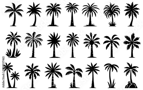 tropical palm tree, big collection set of black vector silhouette photo