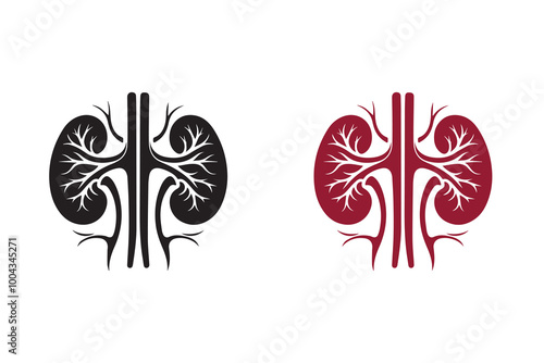 Human Kidney Silhouette Illustration