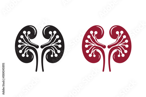 Human Kidney Silhouette Illustration