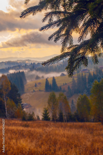 Sunrise misty morning taken in Carpathian mountains, Ukraine photo