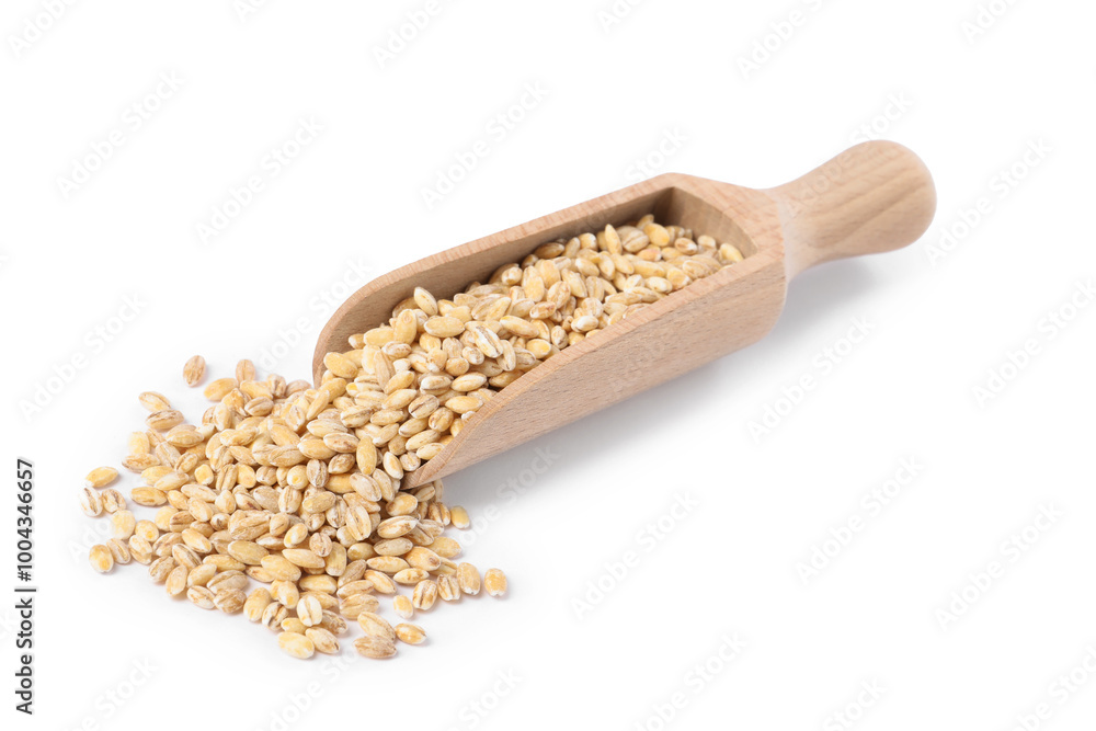 Scoop with pearl barley groats isolated on white Scoop with pearl barley groats isolated on white