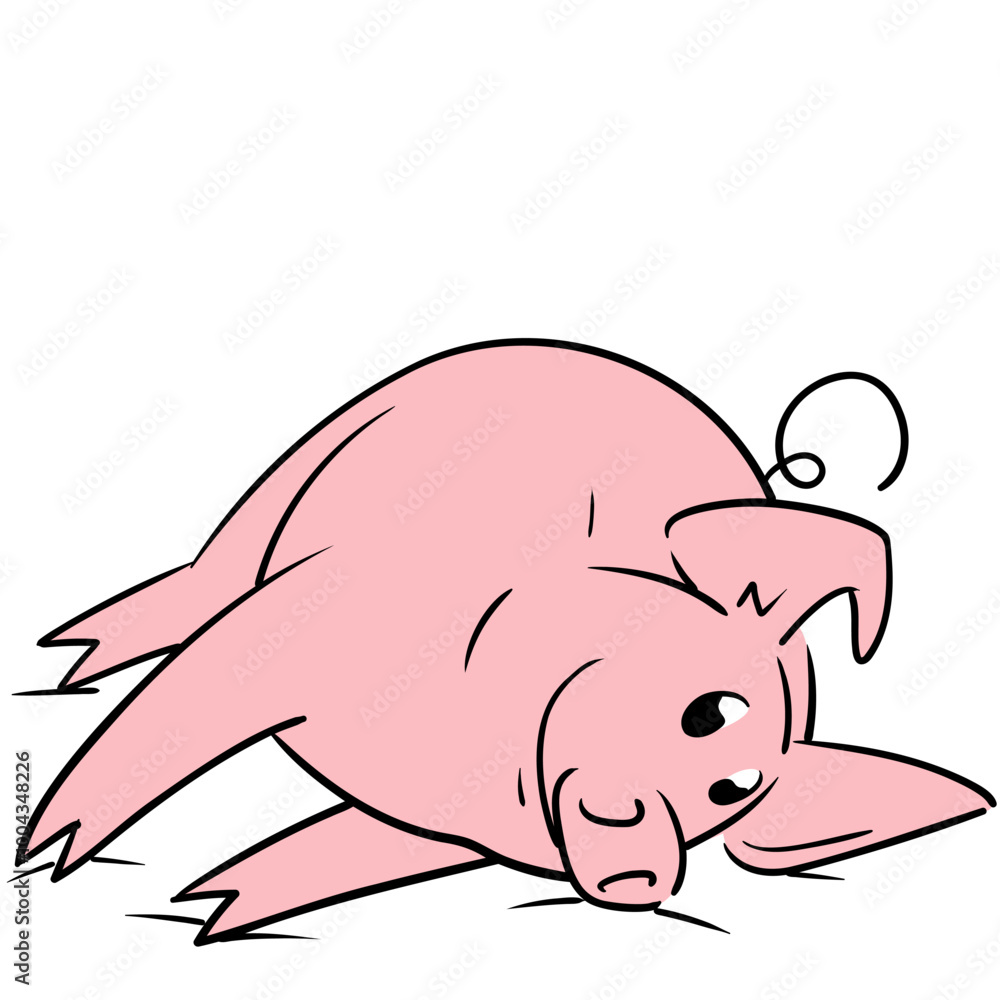 Cute little pig posing lying down seen from the front very happy Cute little pig posing lying down seen from the front very happy