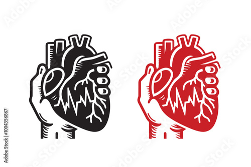 Human Cardiac Muscle Art and Graphics silhouette Illustration