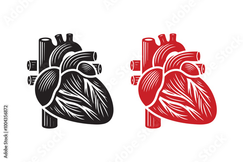 Human Cardiac Muscle Art and Graphics silhouette Illustration