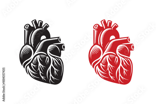 Human Cardiac Muscle Art and Graphics silhouette Illustration