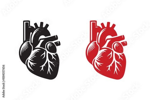 Human Cardiac Muscle Art and Graphics silhouette Illustration