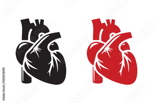 Human Cardiac Muscle Art and Graphics silhouette Illustration
