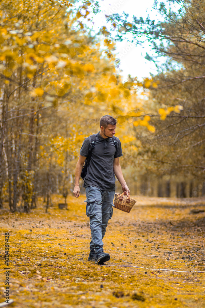 A man with a basket picking mushrooms. Mushroom picker. Mushroom picking. Autumn harvest. Man in the forest. Yellow foliage A man with a basket picking mushrooms. Mushroom picker. Mushroom picking. Autumn harvest. Man in the forest. Yellow foliage