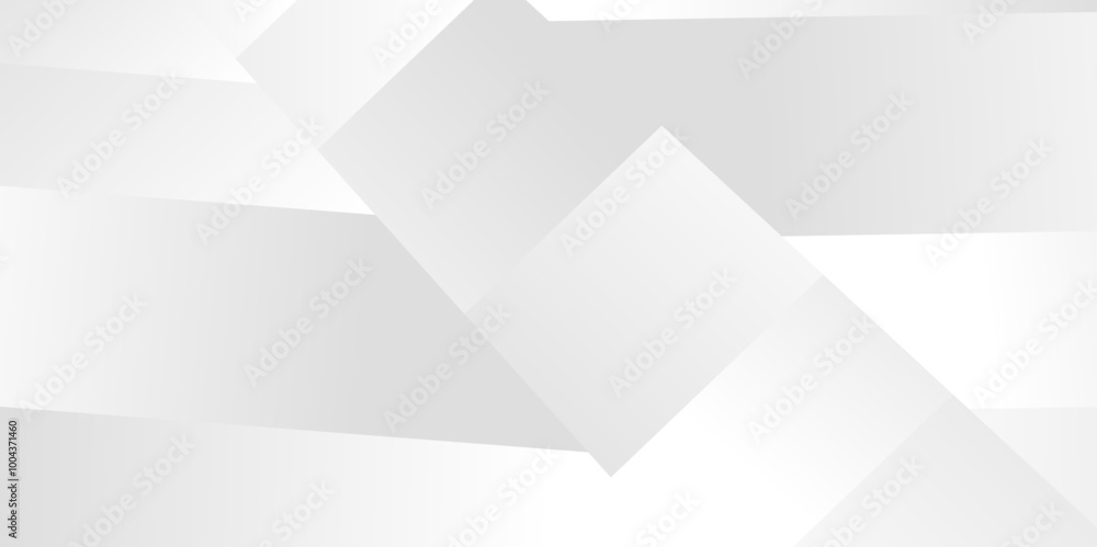 Fototapeta premium Elegant abstract background with grey lines with shadow, Abstract gray and white background. Geometric background with diagonal stripes design, Vector illustration .
