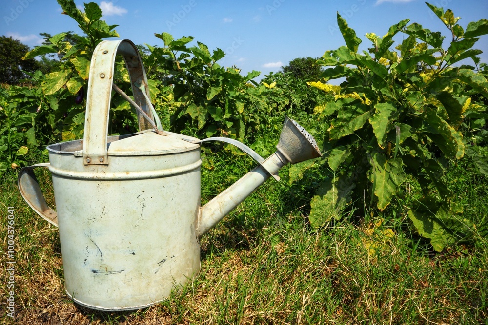 Metal watering can on grass on blue sky background. Metal watering can on grass on blue sky background.