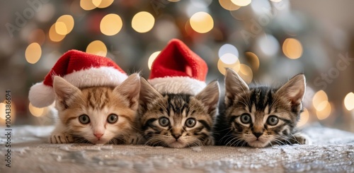 Three Adorable Kittens in Santa Hats Celebrating Christmas With Holiday Cheer