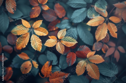 Autumn Leaves on the Forest Floor