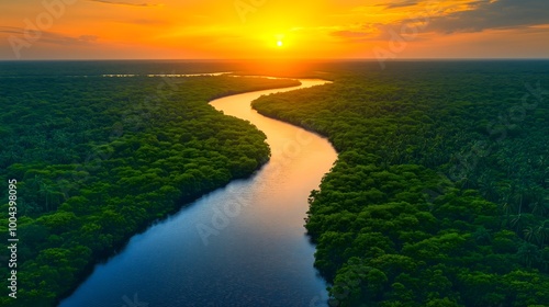 aerial view of winding river flowing through dense lush green tropical forest