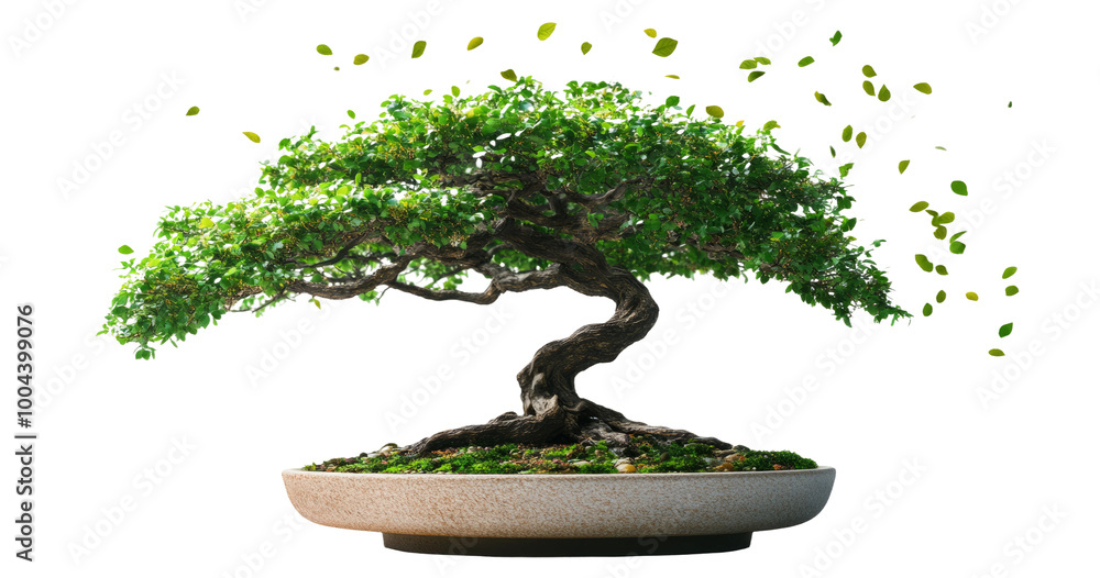 Fototapeta premium Serene Bonsai Tree with Falling Leaves on Transparent Background