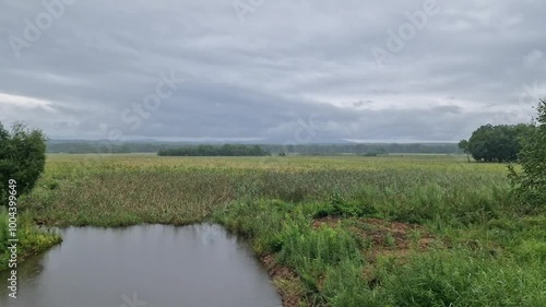 Landscape with lake, forest and misty meadow.